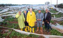 TZOB Genel Başkanı Bayraktar: Don için yapılan nakdi yardımı sel ve hortum için de istiyoruz