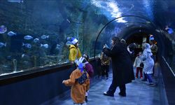 Trabzon Akvaryum geçen yıl 215 bini aşkın ziyaretçi ağırladı