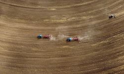 Tarım sayımının yüzde 90'ı tamamlandı, sonuçlar yılın ikinci yarısında açıklanacak