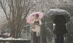 Doğu Karadeniz'in iç ve yüksek kesimlerinde yoğun kar yağışı bekleniyor