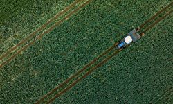 Çiftçilere 255,4 milyon lira tarımsal destekleme ödemesi bugün yapılacak