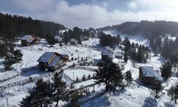 Çam ormanlarıyla çevrili Dumanlı Tabiat Parkı ziyaretçilerini bekliyor