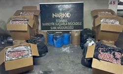 İstanbul'da düzenlenen operasyonda 2 milyon 760 bin uyuşturucu hap ele geçirildi