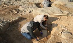 Adıyaman'da Göbeklitepe'deki "T" taşları andıran yapılar bulundu