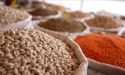 Tarım, gıda ve içecek sektöründen 2025'in 11 ayında 24,79 milyar dolarlık ihracat