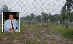 Zeytin ağaçlarını kesen ve görevinden istifa eden Kılbey’e para cezası