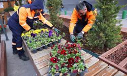 Çansera'dan kent merkezine kış renkleri