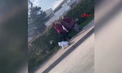 Bursa'da iki kadın dilencinin yanlarındaki bebeğe rağmen yer kavgası kamerada