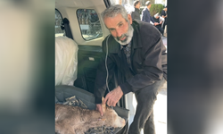 Buzağısının serumu bitene kadar başından ayrılmadı, uzun hava okudu