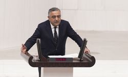 Sezgin Tanrıkulu kayıp çocuk verilerini Meclis gündemine taşıdı