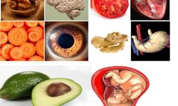 Benzediği organa iyi gelen besinler