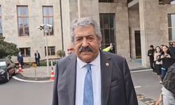 Feti Yıldız: 'Umut hakkı', AİHM kararları üzerinden içerik olarak mutlaka olacak