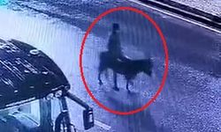 Forkliftle kuyumcu soyup eşekle kaçan şüpheli yakalandı