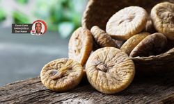 “AB’den Türkiye ürünlerine büyük uyarı: Kuru incir, irmik ve fındıkta RASFF bildirimleri arttı!”