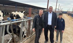 Hayvancılıkta maliyet alarmı: Üretici sayısı azalıyor