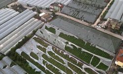 Geçen haftaki yağış ve hortumun Antalya'ya faturası 300 milyon TL