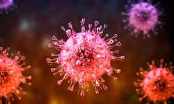 Nipah virüsü dünyada kaygı yaratıyor