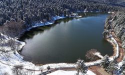 Gölcük Tabiat Parkı’ndaki mangal faaliyetleri, kanserojen madde birikimine neden oluyor