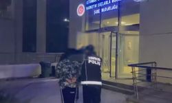 İstanbul'da narkotik operasyonu: 240 kilogram uyuşturucu ele geçirildi