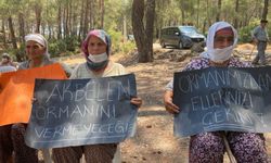 Akbelen’de ‘Bir gecede iki şirket kazansın kararı’nı bir de onlardan dinlediler