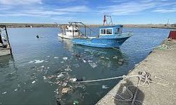 'Zonguldak'ta balık sezonu kötü geçiyor'