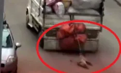 Kamyonete bağlanarak sürüklenen köpek kurtarıldı
