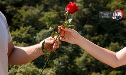 Sevgililer Günü’nde çiçek fiyatları cep yakıyor