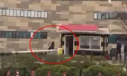 Taksiye binemediği için durağın camlarını kıran kadın serbest bırakıldı