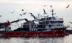 Hamsinin izini süren Karadenizli balıkçılar rotalarını İğneada'ya çevirdi