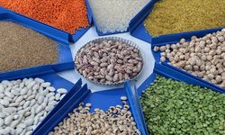 Tarım, gıda ve içecek sektöründen 2025'te 27,79 milyar dolarlık ihracat