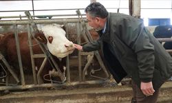 Devlet desteğiyle kurduğu işletmesinde günlük 1,5 ton süt elde ediyor