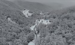 Tekirdağ'da karla kaplanan ormanlar güzel görüntü oluşturdu