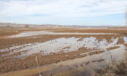 Sivas'ta yaklaşık 10 bin dönüm ekili tarım arazisi su altında kaldı