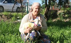 Yanından ayırmadığı kuzusunu parka da misafirliğe de götürüyor