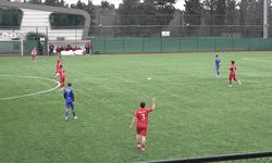 İstanbul'da maç sırasında topun çarptığı martı kalp masajıyla hayata döndürüldü