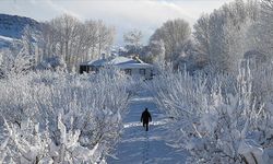 Birçok ilde kar ve soğuk hava etkili oluyor