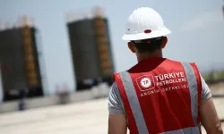 TPAO’ya 7.3 kat talep