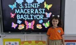 Üzerine koltuk düşen Ebrar'ın ölümü davasında sanıklar için hapis istemi