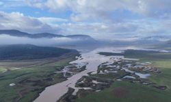 'Yer altı suyunda yaklaşık 120 santimetre yükselme tespit ettik'