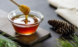 Çam Balı Manuka Balına rakip olacak