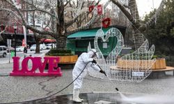 Başkentin simgesi Kuğulupark’ta buharlı temizlik