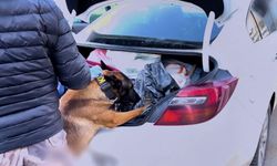 73 ilde uyuşturucu operasyonu; 475 tutuklama