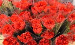 '8 Mart'ta kırmızı karanfil yoğun talep görüyor'
