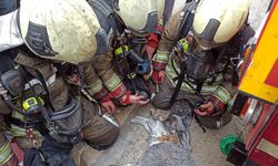 Ankara'da yangından etkilenen kediler kalp masajı ve oksijenle hayata döndürüldü