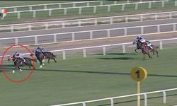 Yarış atı kavurma yapılan iş insanına da 132 bin TL ceza kesildi