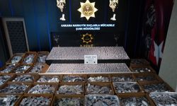 Ankara'da 810 bin uyuşturucu hap ele geçirildi: 2 tutuklama