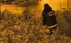 Ankara'da uyuşturucu operasyonları; 34 tutuklama