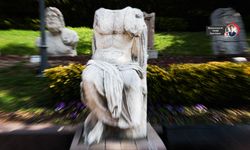 Başkentin Gezgin Romalısı