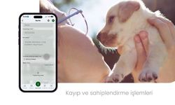 Çankaya Belediyesinin dijital yüzü “Çankapp” yayında