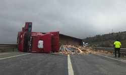 Devrilen ahşap yüklü TIR’ın şoförü yaralandı